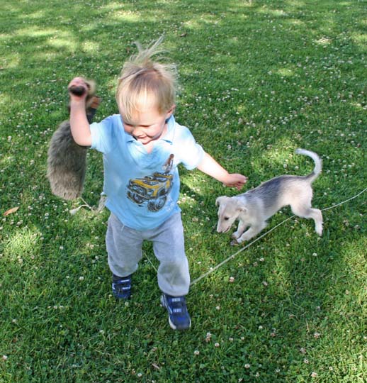 MJ With Lure and Pup 4